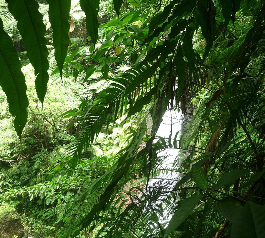 Lenuanatuaiu Waterfall-塔纳岛必去景点