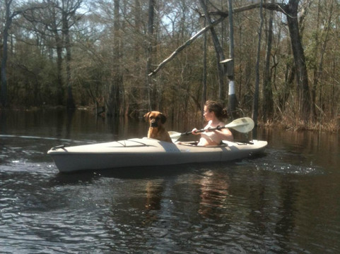 Great Escapes Kayak Expeditions-美特尔海滩必去景点