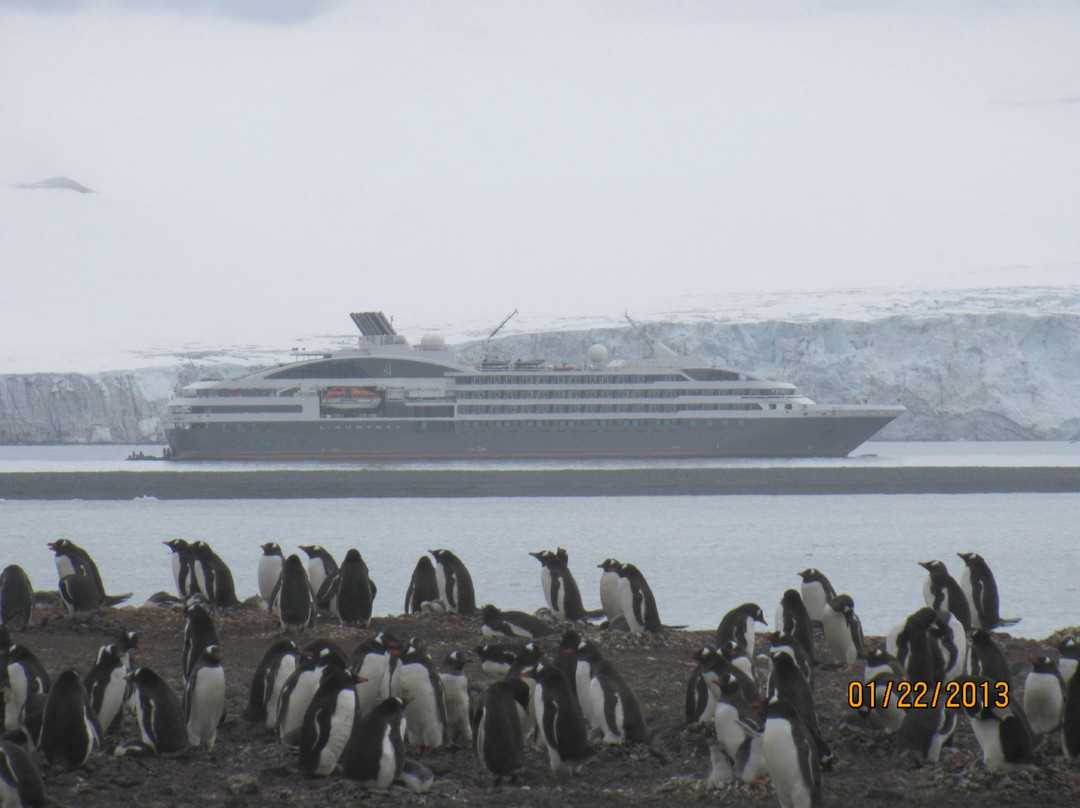 South Shetland Islands旅游攻略图片