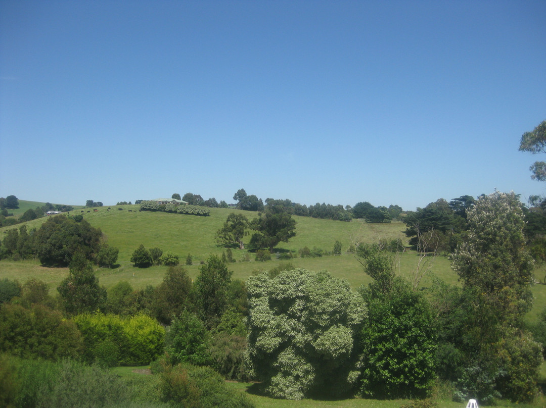 Budget Coal Creek Motel主图