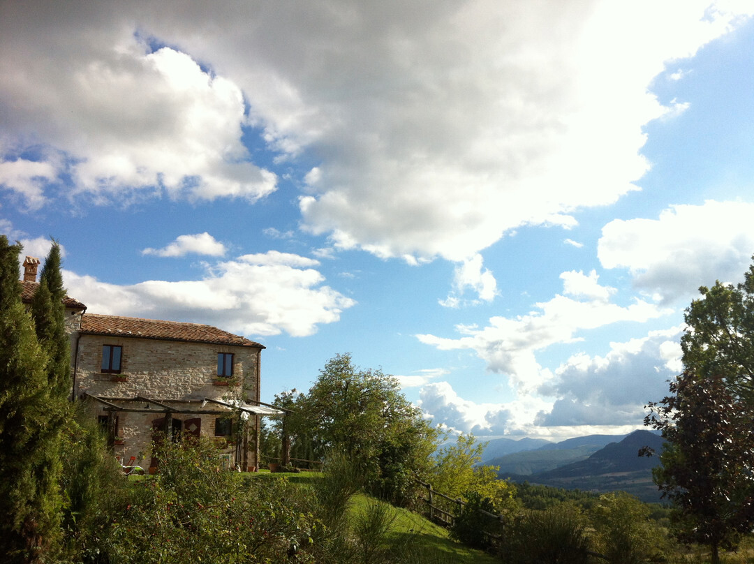 Volti di Pietra