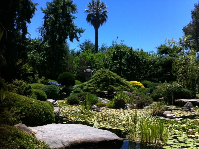 Himeji Garden-阿德莱德必去景点