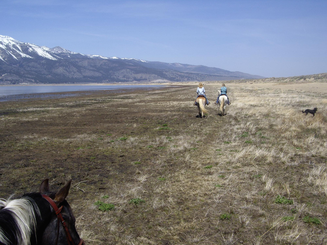 Sheridan Creek Equestrian Center景点图片