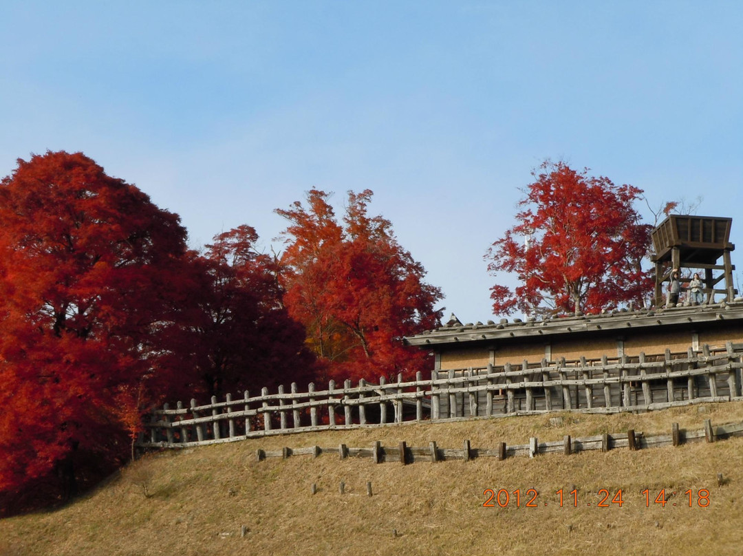 Joshi Park Asuke-jo　Castle景点图片