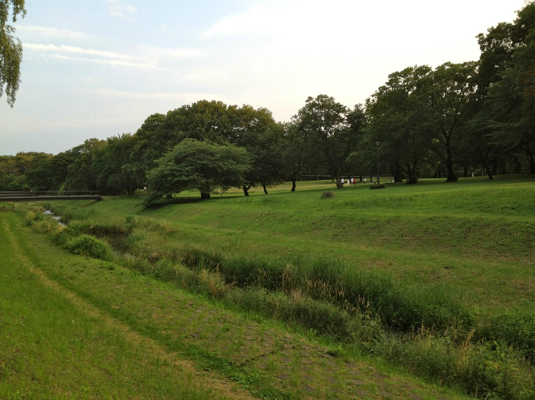 Nogawa Park-三鹰市必去景点