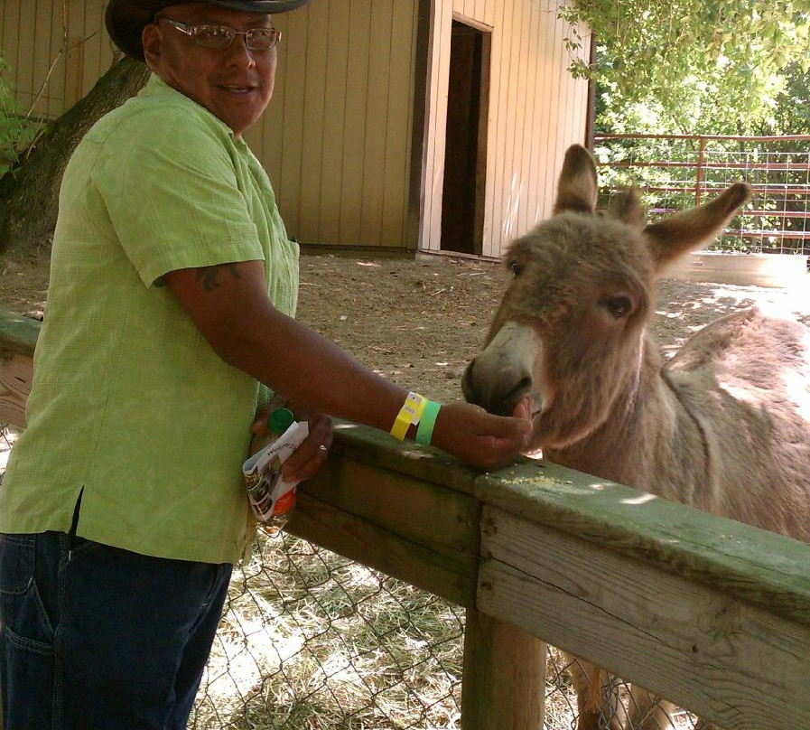 The Dancing Horses Theatre-Delavan必去景点