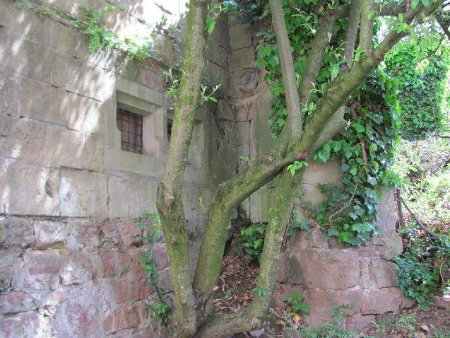 Historic Wine Cellar Vereinigten Hospitien景点图片