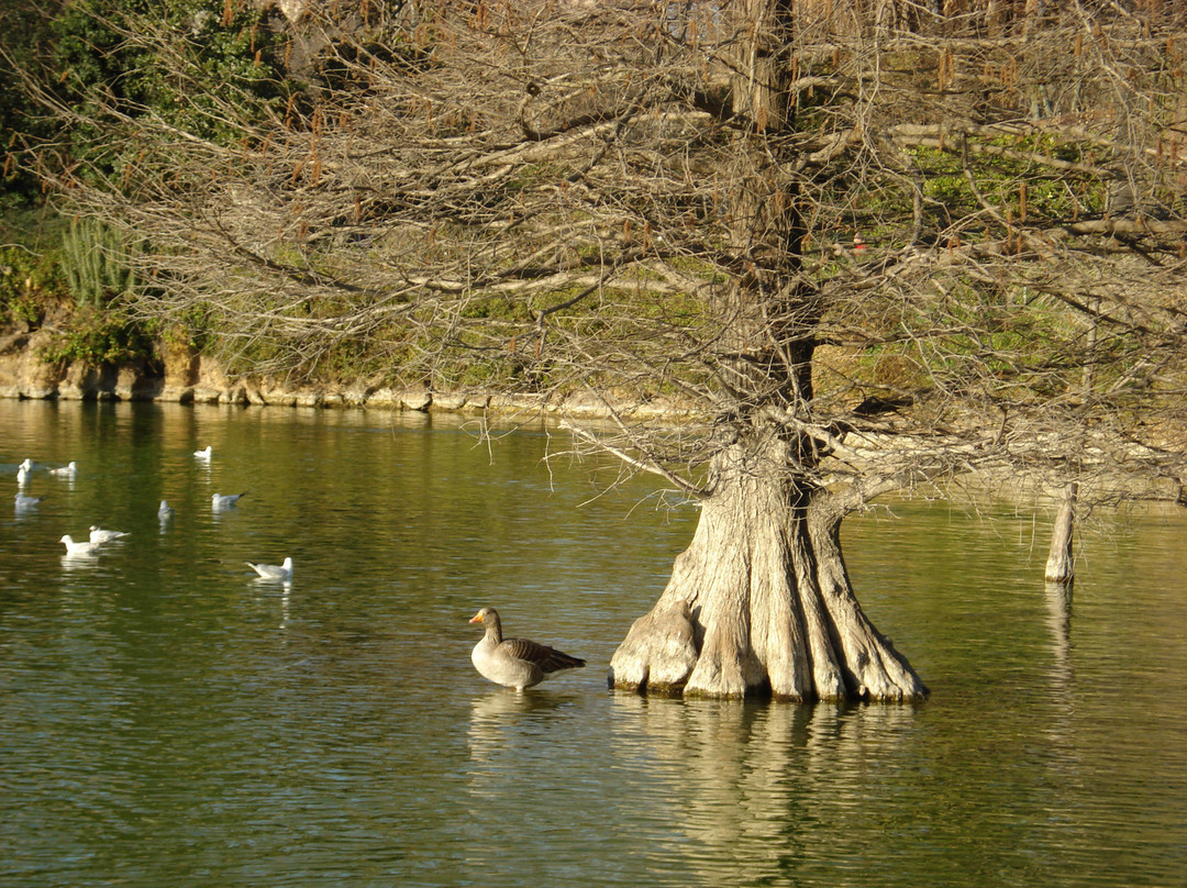 城堡公园-巴塞罗那必去景点