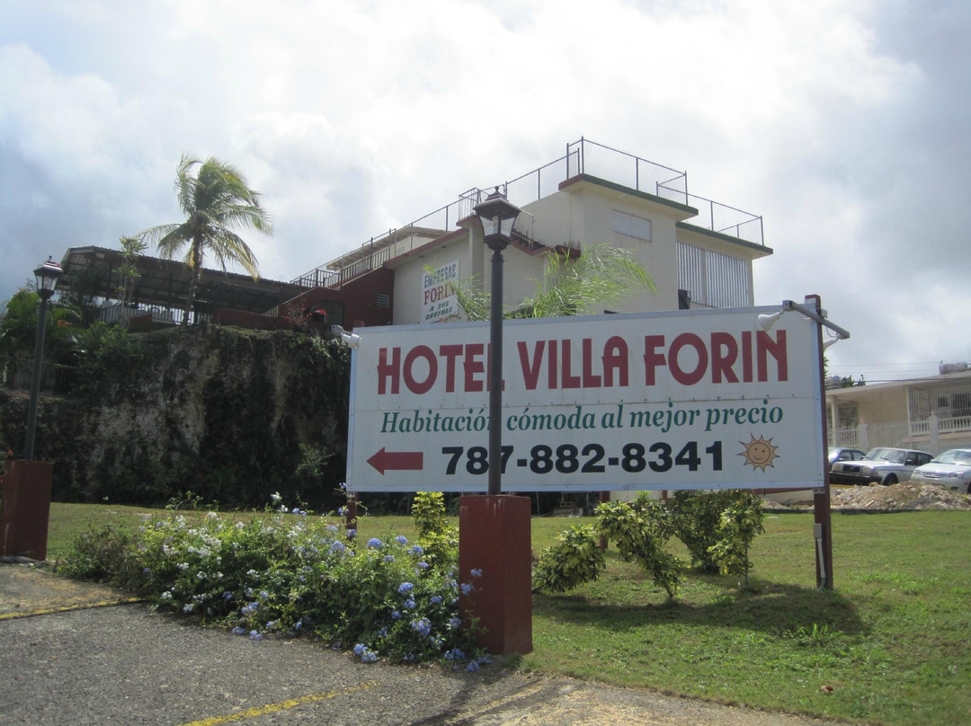 Hotel Villa Forin主图