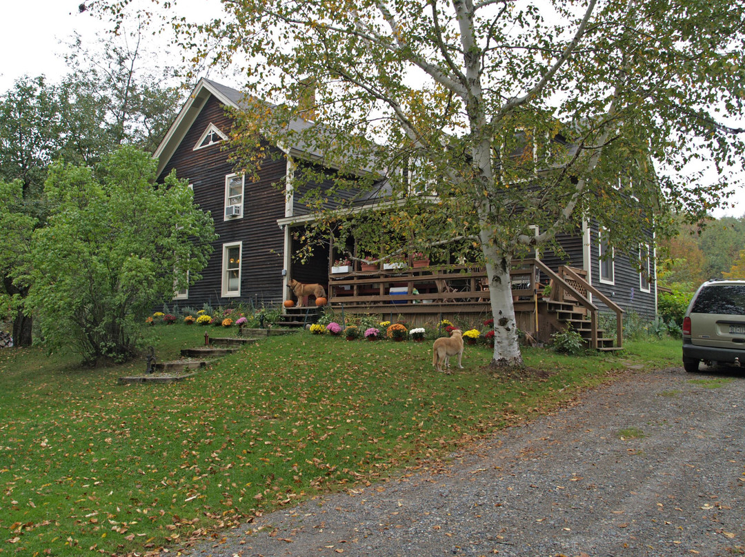 Stoney Lonesome Bed and Breakfast主图