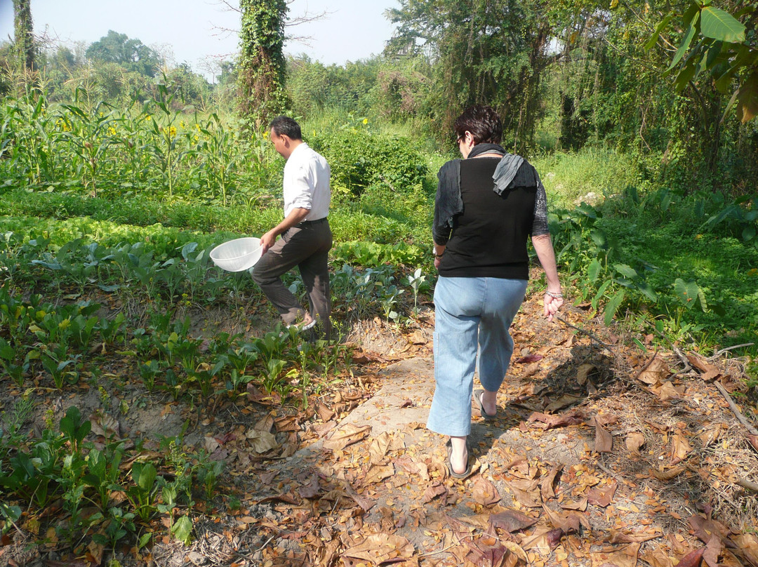 最佳泰式烹饪学校-清迈必去景点
