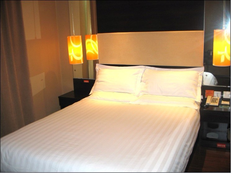 秦皇岛金桔酒店主图