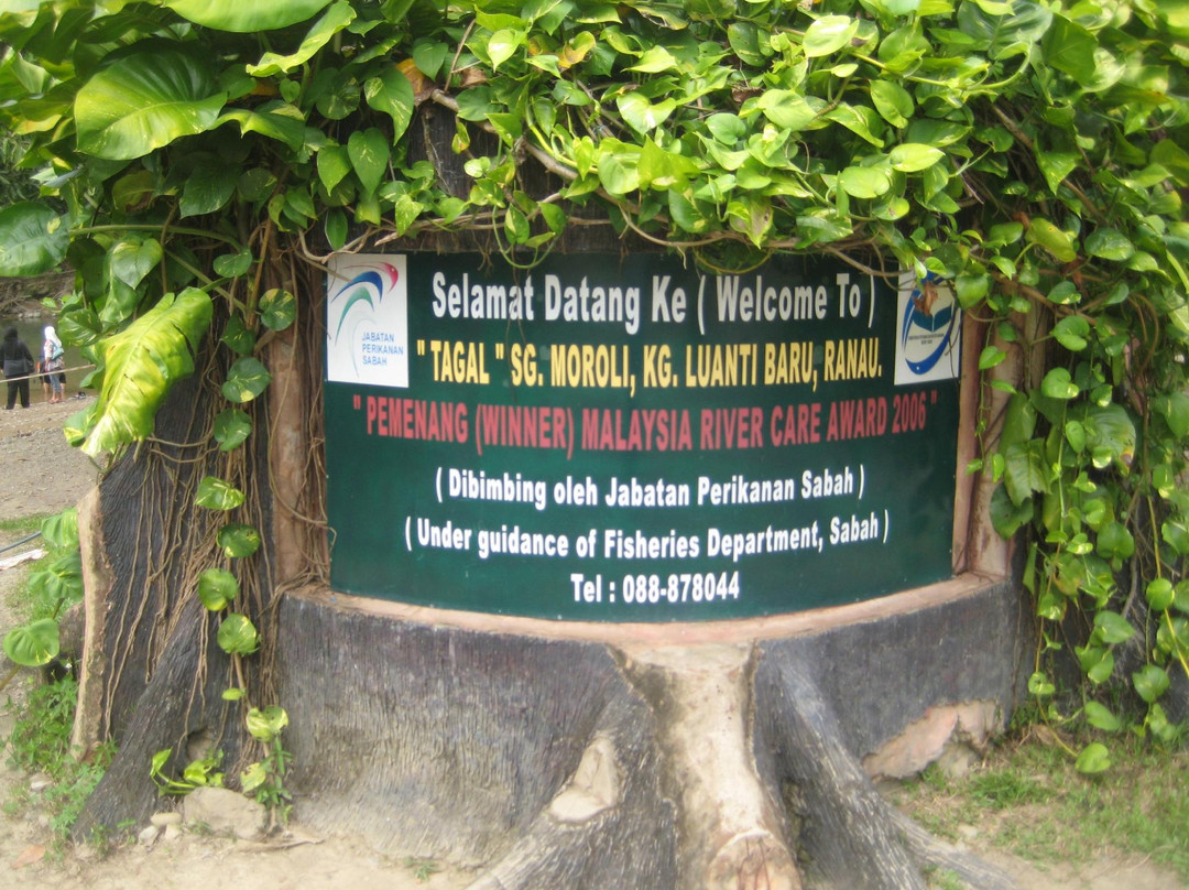 Sungai Moroli Fish Massage-拉瑙必去景点