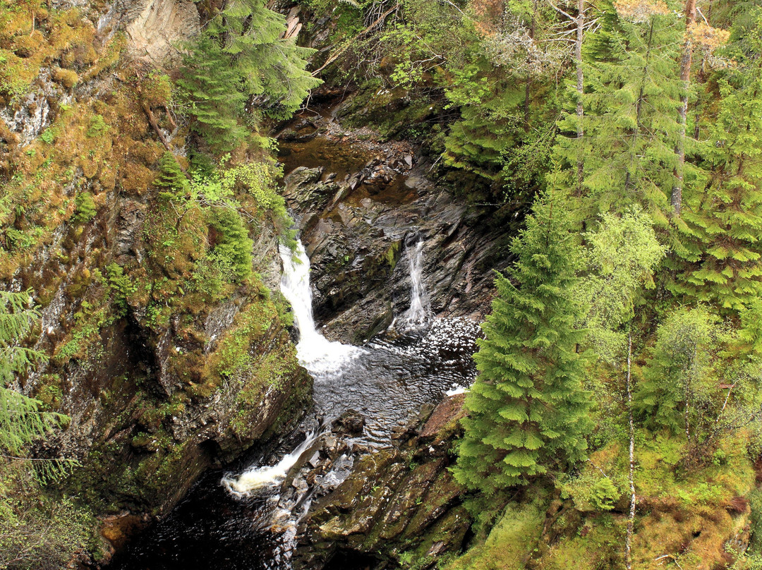 Plodda Falls-Tomich必去景点