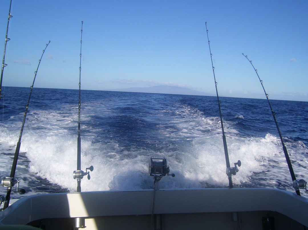 Maui Fun Charters-玛阿拉也亚必去景点