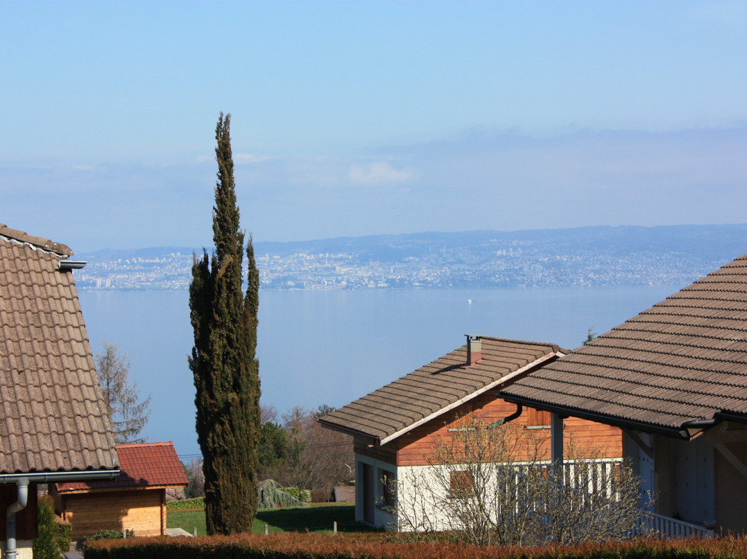 Sur la Corniche主图