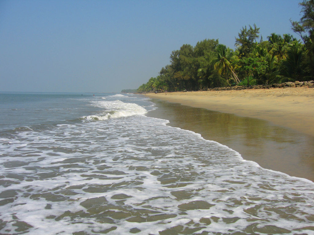Cherai Beach景点图片