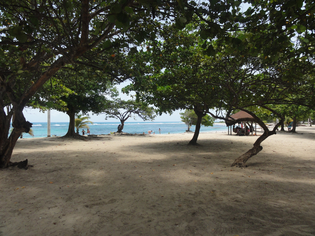 Plage des Raisins Clairs-Saint Francois必去景点