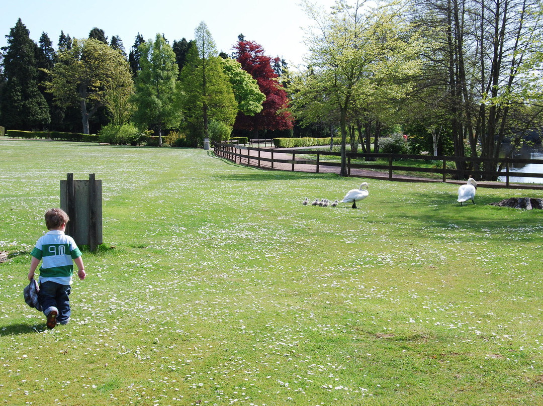 Craigtoun Country Park-圣安德鲁斯必去景点