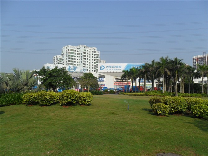 海口滨海大道-海口市必去景点