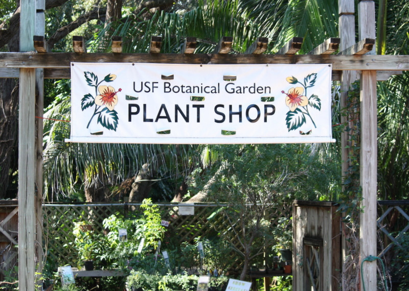 University of South Florida Botanical Gardens, Tampa-坦帕必去景点