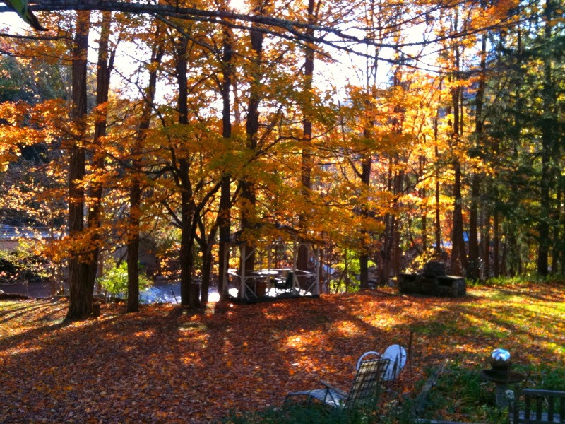 Chichester Yoga-Chichester必去景点