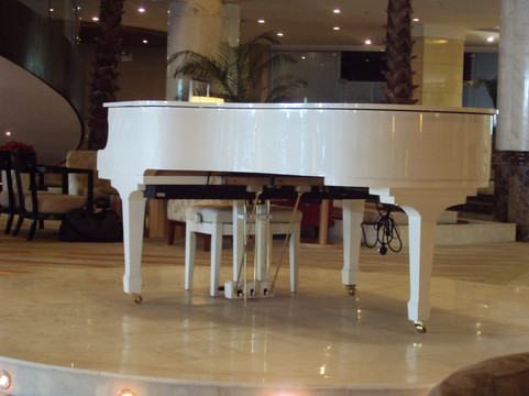 荷泰温泉酒店主图