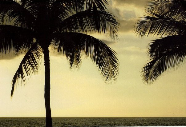 库希欧海滩公园-火奴鲁鲁必去景点