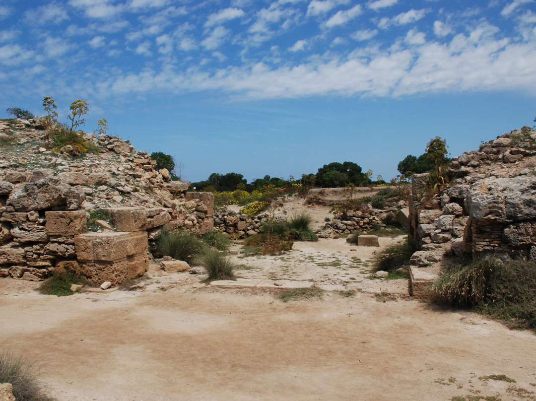 Isola di Mozia (Mothia)/ San Pantaleo-马尔萨拉必去景点