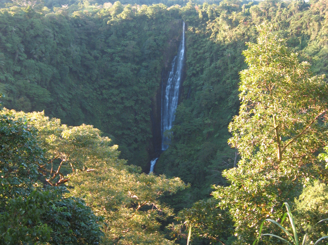 Papapapaitai Falls-阿皮亚必去景点