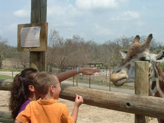 Dickerson Park Zoo-斯普林菲尔德必去景点