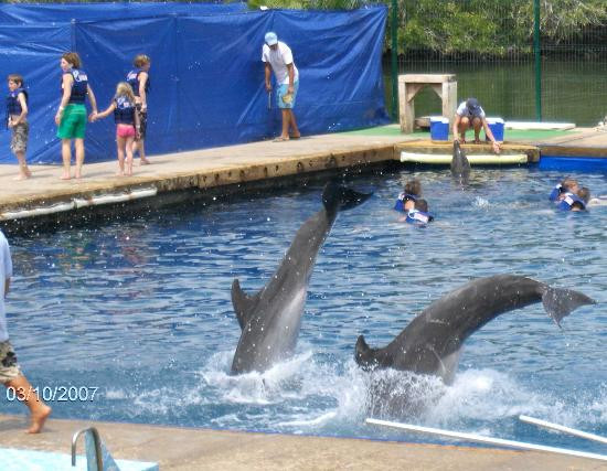 Vallarta Adventures-新瓦雅塔必去景点