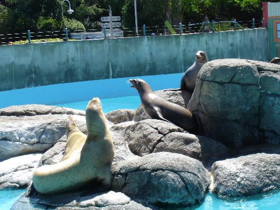 Six Flags Discovery Kingdom-瓦列霍必去景点