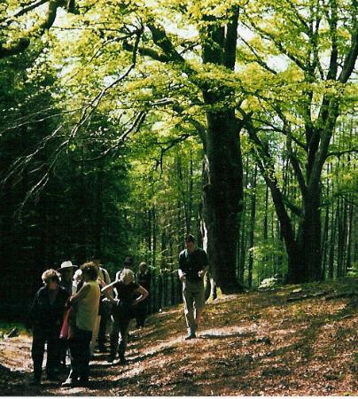 Hafod Uchtryd-阿伯里斯特威斯必去景点