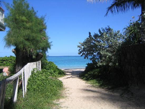 拉尼凯海滩-科纳必去景点