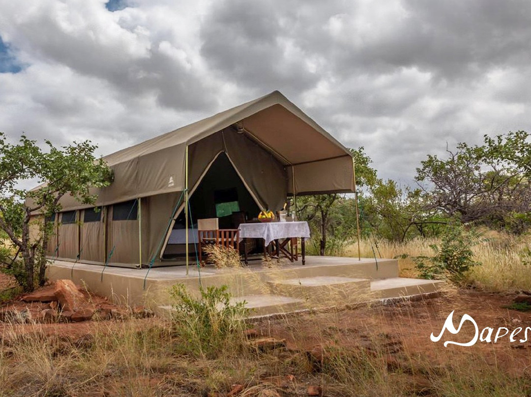 Mapesu Private Game Reserve