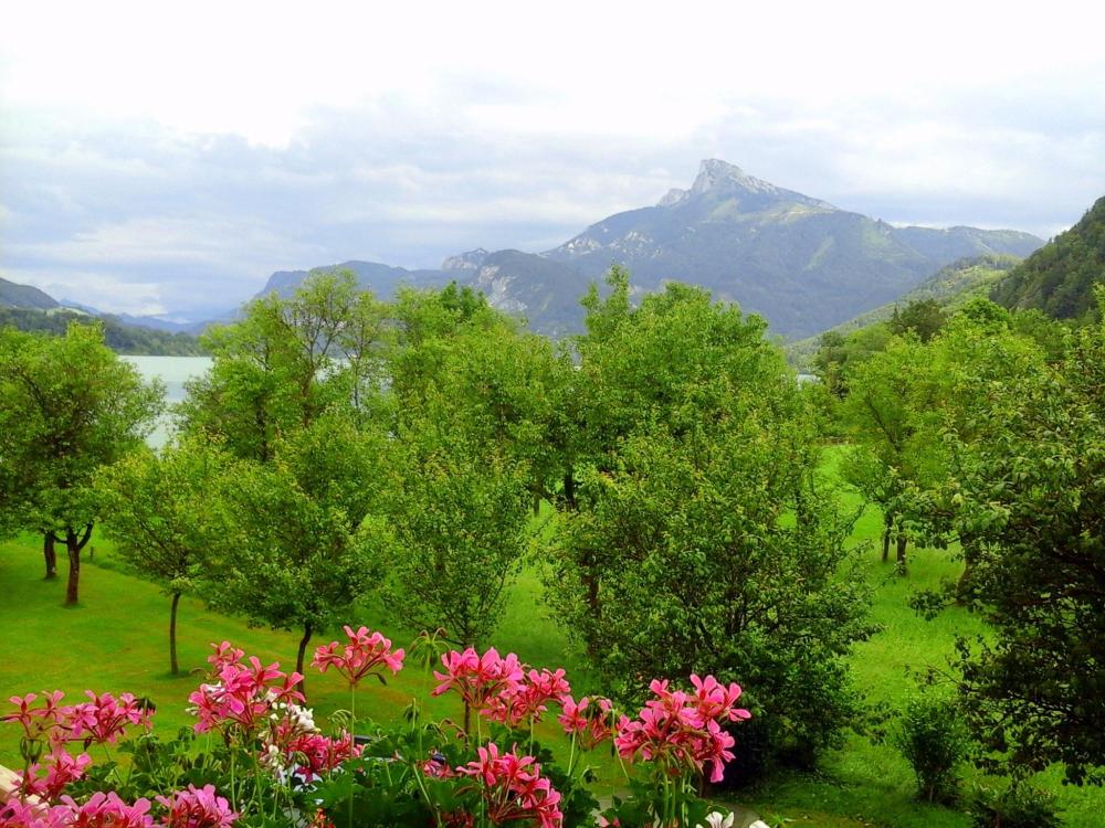 Pension Seecamp Nussbaumer-酒店景观