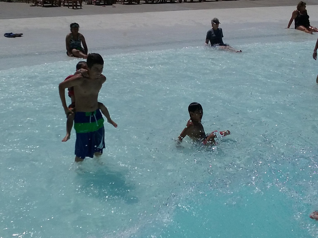 Parrot Island Waterpark景点图片