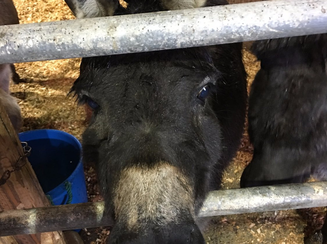 Farm Stay Skagit at Hoehn Bend Farm
