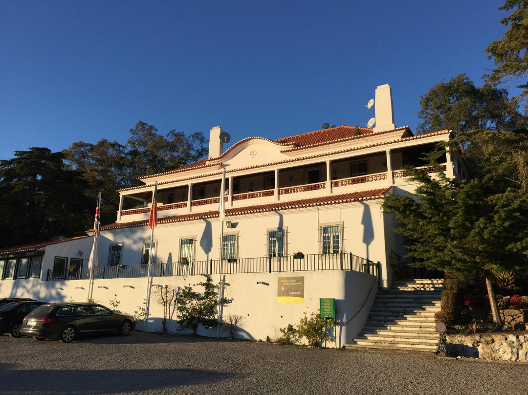 Pero Pinheiro旅游攻略图片