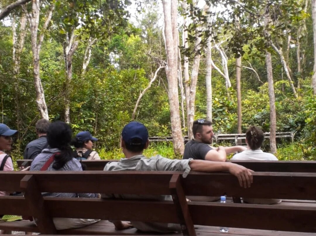 Tanjung Puting Tourism-Pangkalan Bun必去景点