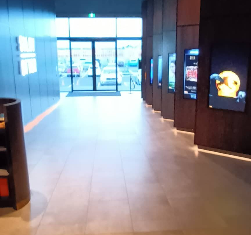 Silky Otter Cinemas, Richmond景点图片