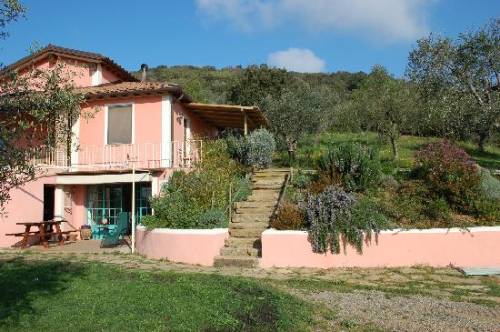 B&B Il Pino-官方