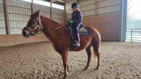 Crown Haven Center-Russiaville必去景点