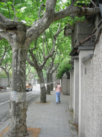 上海金辰大酒店主图