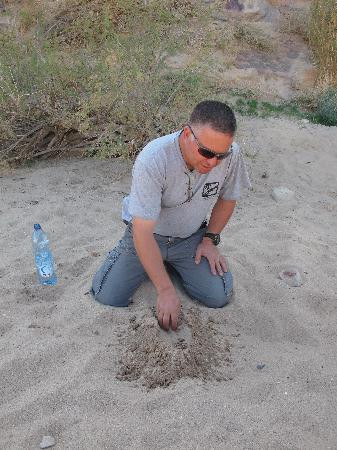 Ramon Crater-米茨佩拉蒙必去景点