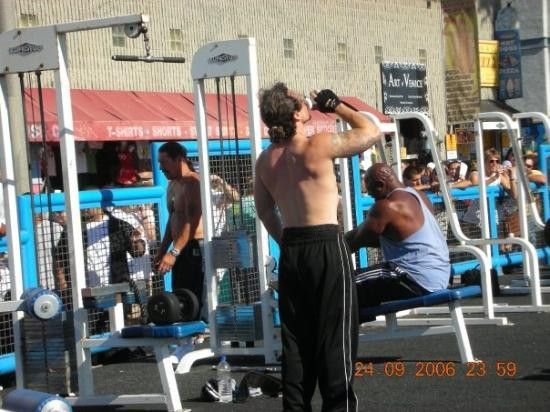 Muscle Beach Venice Gym-洛杉矶必去景点