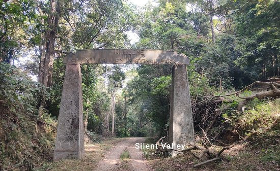 Silent Valley National Park-卡拉拉必去景点