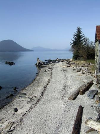 Petroglyph Beach State Historic Site景点图片
