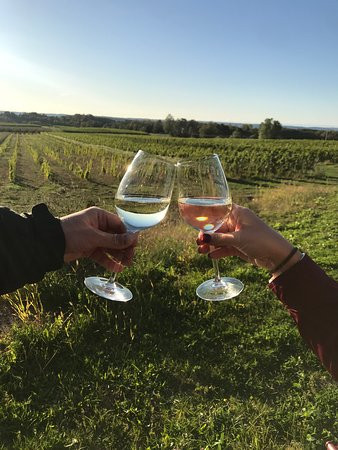 Bonobo Winery-特拉弗斯城必去景点